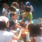 Activitati - 4th_july